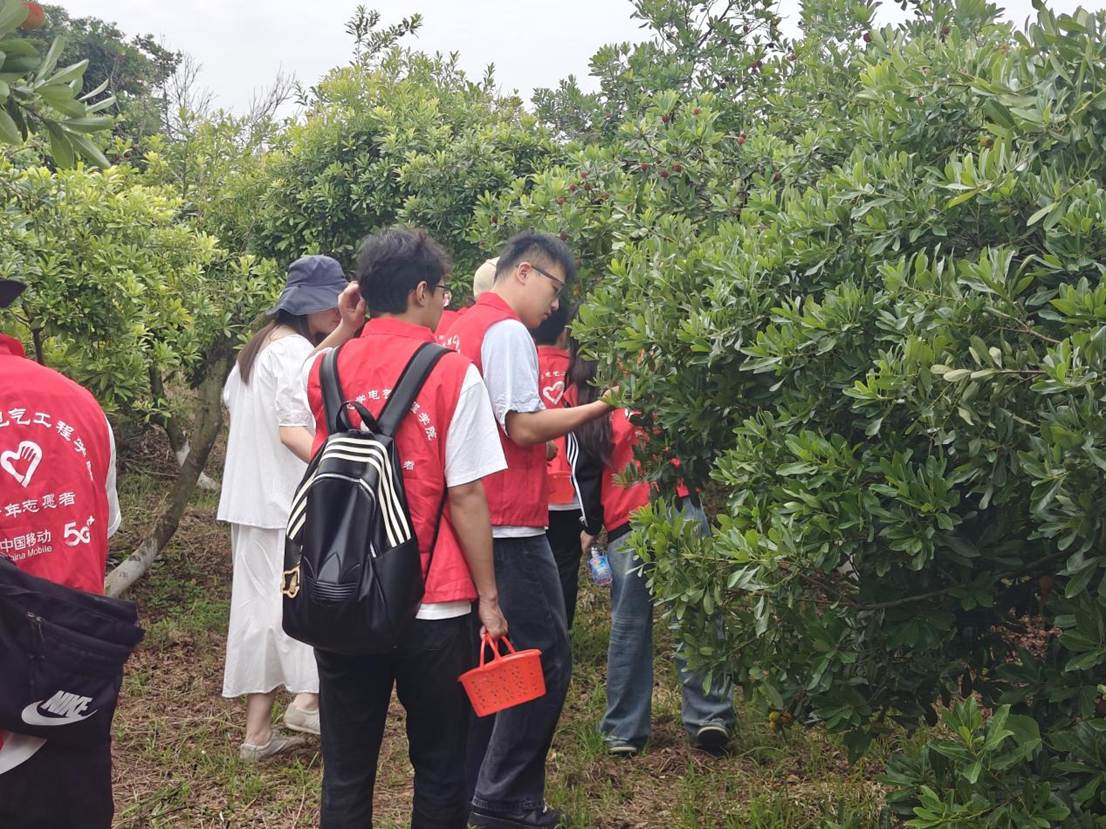 61663364fb3a858a269b6cf0b4b1014